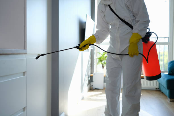 Best Mold Remediation for Schools in Deschutes River Woods, OR
