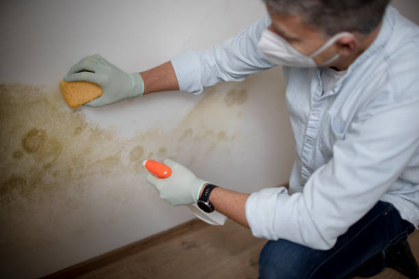 Best Post-Flood Mold Remediation in Deschutes River Woods, OR