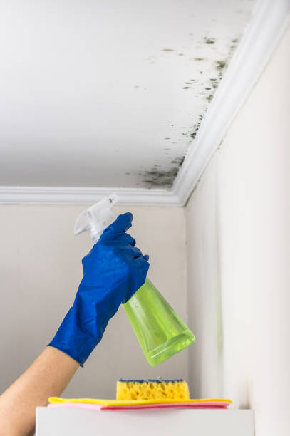 Best Mold Testing and Inspection Services in Deschutes River Woods, OR